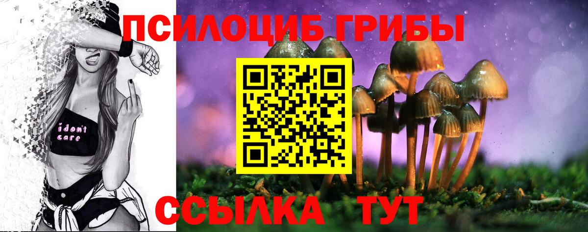 Галлюциногенные грибы прущие грибы Воркута